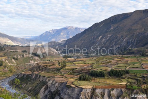 Picture of Terrasses du canyon de Colca au Prou